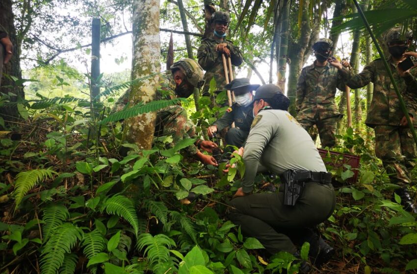  Catalina Gazon y la Asociación Ambiental Pachamama en la búsqueda del adecuado manejo de nuestros recursos